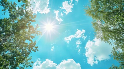 Wall Mural - Sunny Sky with Clouds and Trees Under Clear Blue Summer Day Sky