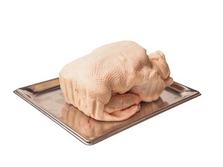 Uncooked fresh duck on a metal stainless steel tray. Fine, high quality poultry product on white background.