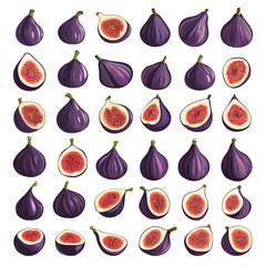 Wall Mural - Figs. Purple fig exotic fruit, juicy tropical food organic ingredient for healthy nourishment, set vector illustration