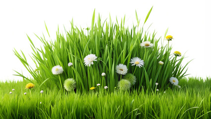 a lush patch of green grass adorned with delicate white daisies, representing the beauty of nature a