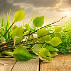 Canvas Print - Green leaves on twigs, sward and wooden planks background