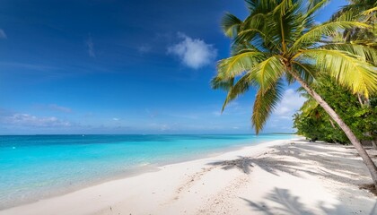 Canvas Print - a tropical beach with palm trees swaying in the breeze clear turquoise waters and white sand stretching to the horizon capturing the idyllic beauty of a paradise getaway