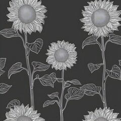 Wall Mural - Black and White Sunflower Illustration