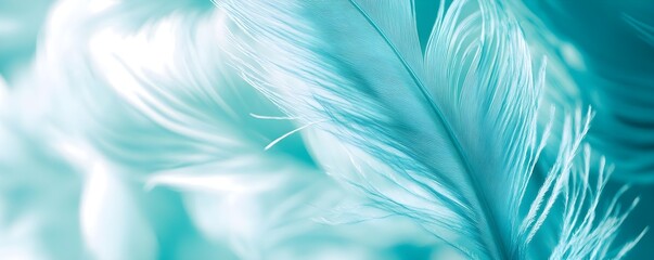 Wall Mural - Abstract Blue Feather Background