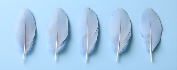 Wall Mural - Five Light Blue Feathers On A Light Blue Background