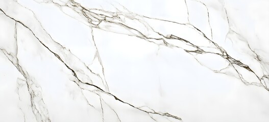 Canvas Print - White Marble Texture with Grey Veins