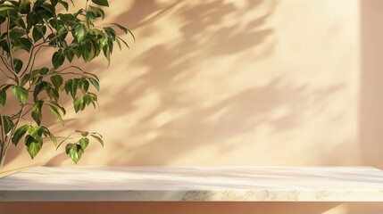 Poster - Table top white marble counter peach cement wall with shadow sunlight from plant