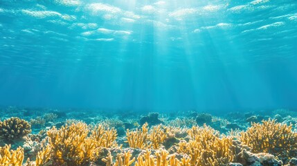 Poster - Underwater Sunlight Shining Through Blue Water Over Coral Reef