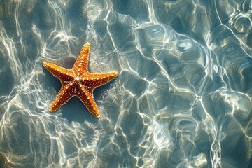 Starfish on the summer beach in sea water. Summer background. Summer time, ai