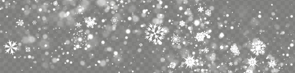 Wall Mural - Heavy snowfall, snowflakes in different shapes and forms. Falling snowflakes on dark background. Snowfall.