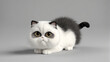 © Tina - Cute cats, generated by artificial intelligence。