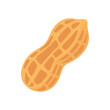 ©  MVectors - Peanut in its shell, isolated Vector Icon