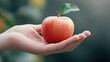 © cloud7days - Hand holding an apple, focusing on its smooth surface and vibrant color.