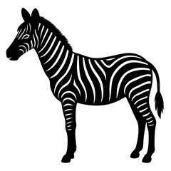 black zebra silhouette vector animal illustration on white background