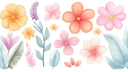 Vibrant collection of various floral elements featuring colorful flowers and lush leaves for creative design projects.