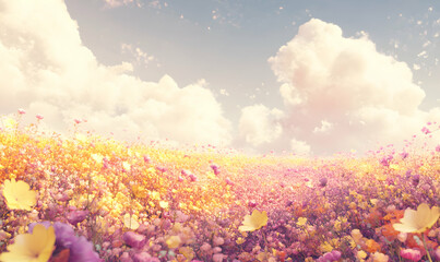 Wall Mural - A field of delicate pink and yellow flowers under a bright blue sky with fluffy white clouds.