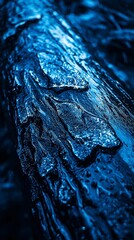 Wall Mural -  A tight shot of frozen wood with ice coverage and water beads