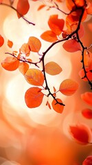 Canvas Print -  A branch bearing orange leaves in front of an indistinct sunbeam and a blurred background