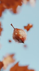 Poster -  A leaf drifts in the air against a backdrop of blue sky, its brown counterparts scattered in the foreground