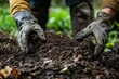 © Nattadesh - A gardener's hands, wearing gloves, mix rich soil in the garden, showcasing the beauty of nature and the art of gardening.