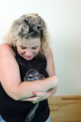 Wall Mural - People care for and play with chinchillas.