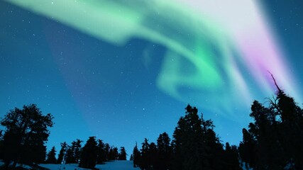 Wall Mural - aurora green purple above snow covered alpine forest 02 loop