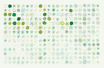Wall Mural - vector tree top view isolated on white background for landscape plan and architecture layout drawing