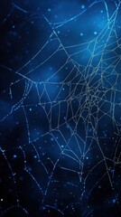 A spider web with a blue background