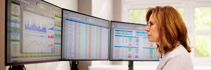 Fototapete - Computer Spreadsheet Data Analyst Woman