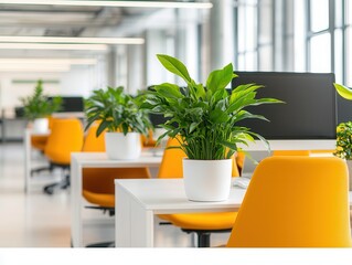 Poster - Modern Office Interior with Green Plants and Yellow Chairs.