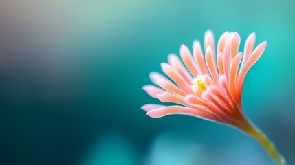  A pink flower, focused closely, against a blurred backdrop of blue and green hues A small yellow bloom sits at the center