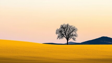 Wall Mural -  A lone tree stands in the midst of a yellow field, with a mountain distant in the background