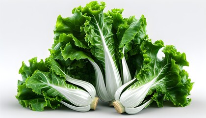 Wall Mural - Intricate 3D Visualization of Lettuce Stem on a Crisp White Background