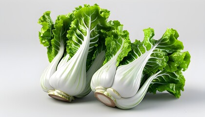 Wall Mural - Intricate 3D Visualization of Lettuce Stem on a Crisp White Background