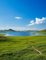 Wall Mural - there is a dirt path going through a grassy field near a lake