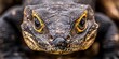 © Valerii Dekhtiarenko - Ultra-close macro shot of a monitor lizard's head, highlighting textured scales and intense yellow eyes