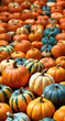 © 桜 マチ - 大量のカボチャを並べた背景　縦