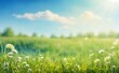 © ArtogolBay - nature background with sunny spring meadow blur background blue sky to green grass