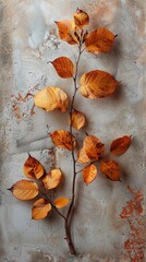 Wall Mural - autumn leaves branch on textured background