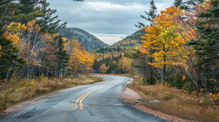 Sticker - The serene and picturesque landscape of Acadia National Park's Park Loop Road, with its scenic vistas and diverse natural features