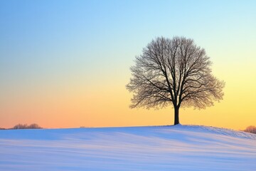 A lone tree stands tall in a snow-covered field at sunset.