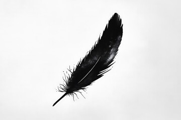 Sticker - feather on black background