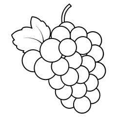 Wall Mural - various grapes outline coloring book page line art drawing