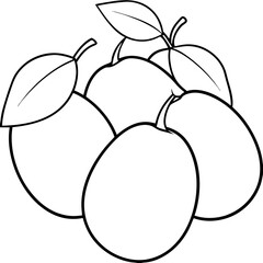 Wall Mural - various mangoes outline coloring book page line art drawing