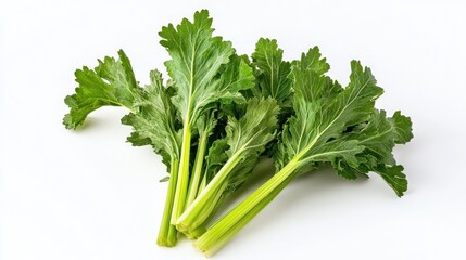 Wall Mural - Fresh green celery with vibrant leaves and stalks on a white background.