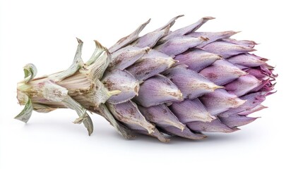 A purple artichoke displayed on a white background.