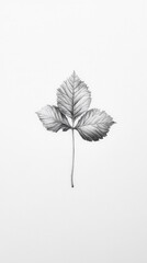 Poster - Pencil Drawing of a Leaf.