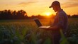 © The Little Hut - Farmer man in corn field works Business Farm Farmer with laptop in green corn field Agriculture concept Modern digital technologies Worker works on farm Agronomist on farm Silhouette : Generative AI