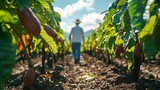 Farmer shows a beautiful open vineyard of ripe cocoa : Generative AI