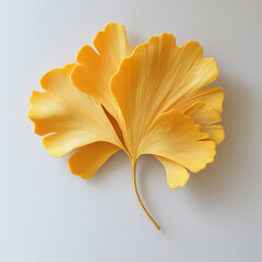 Wall Mural - Ginko Leaf Isolated